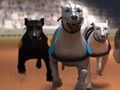 Игра Greyhound трки  онлајн