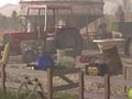 Игра Фарм со свињи  онлајн