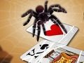 Игра Скокање пајакот онлајн Игра Скокање пајакот онлајн