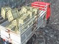Игра Теренски возач на камиони  онлајн