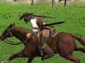 Игра Симулатор за јавање  онлајн