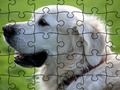 Игра Домашни животни од сложувалка  онлајн