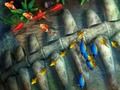 Игра Риболов крал  онлајн