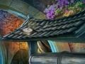 Игра Ладно злато  онлајн
