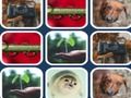 Игра Проблем со меморијата  онлајн