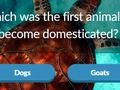 Игра Animalивотински Тривија  онлајн