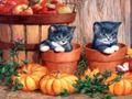 Игра Сликарство за Ноќта на вештерките  онлајн