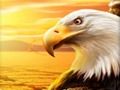 Игра Орел  онлајн