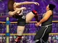 Игра Womenените се борат со борба против револуцијата  онлајн