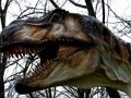 Игра Т-Рекс диносаурус Сложувалка  онлајн