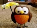Игра Симпатична загатка за бувови  онлајн