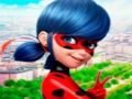 Игра Колекција сложувалка LadyBug  онлајн