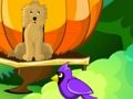 Игра Бегство од цветна градина  онлајн