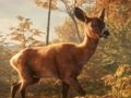 Игра Сим за паркирање на автомобили „Сафари џип“: Авантура во џунгла  онлајн