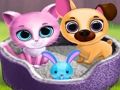 Игра Симпатични пријатели за миленичиња  онлајн