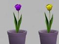 Игра Доктор Линда Бегство онлајн Игра Доктор Линда Бегство онлајн
