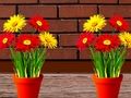 Игра Бегство од Цветна куќа  онлајн