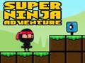 Игра Супер авантуристичка нинџа  онлајн