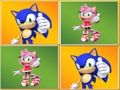 Игра Совпаѓање на Sonic Memory онлајн