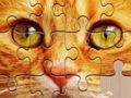 Игра Неограничени загатки  онлајн