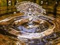 Игра Сложувалка со прскање со вода  онлајн