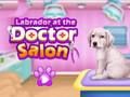 Игра Лабрадор во лекарскиот салон  онлајн