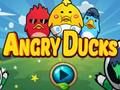Игра Лути патки  онлајн