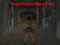 Игра Tomb Raider Open Лара  онлајн