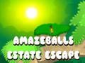 Игра Избега од имот на Amazeballs  онлајн