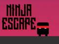 Игра Нинџа бегство  онлајн