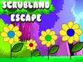 Игра Scrubland бегство  онлајн