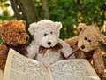 Игра Cuddly Three Teddy Sighsaw онлајн