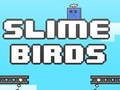 Игра Лигите птици  онлајн