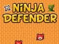 Игра Нинџа бранител  онлајн