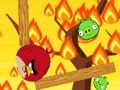 Игра Лути птици. io  онлајн