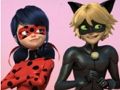 Игра Чудесна бубамара и мачка ноар сложувалка  онлајн