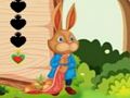 Игра Бегство од верверица  онлајн