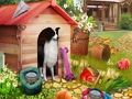 Игра Љубители на животни  онлајн