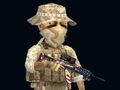 Игра Раш тим  онлајн