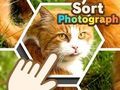 Игра Подреди фотографија  онлајн