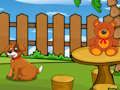 Игра Смешно бегство од Игуана  онлајн