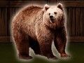 Игра Спасете ја гризли мечка  онлајн