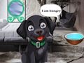 Игра Нахрани гладно црно куче онлајн Игра Нахрани гладно црно куче онлајн