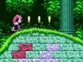 Игра Mighty & Ray во Sonic 2  онлајн
