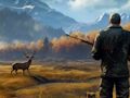 Игра Диви лов судир  онлајн