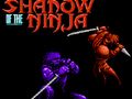 Игра Сенка на нинџа  онлајн