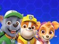 Игра Шепа патрола онлајн Игра Шепа патрола онлајн