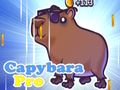 Игра Капибара Про  онлајн