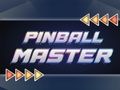 Игра Мајстор за флипер  онлајн