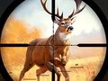 Игра Диви лов судир  онлајн